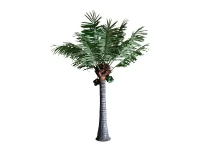 PLANTA PALMERA | Tienda