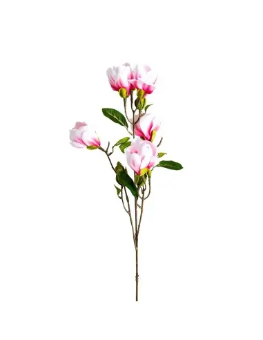 FLOR MAGNOLIA | Tienda