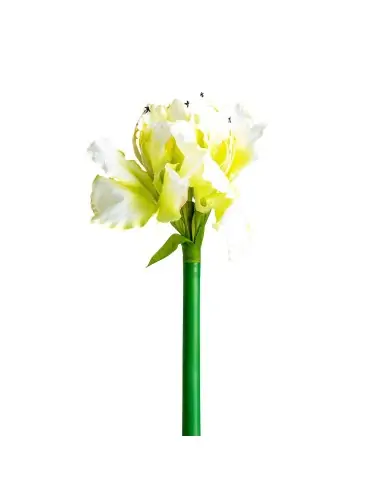 FLOR AMARYLLIS 2 | Tienda