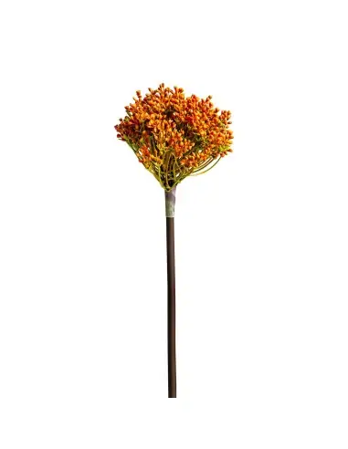 PLANTA ALLIUM | Tienda