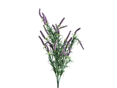 FLOR LAVANDA | Tienda