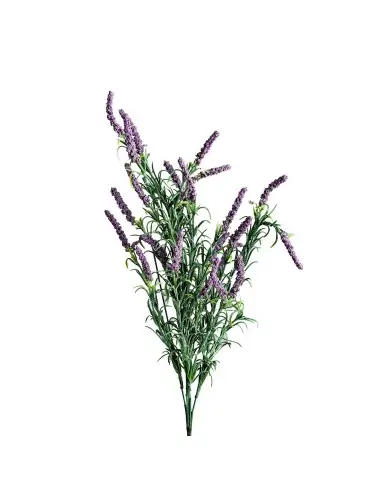 FLOR LAVANDA | Tienda