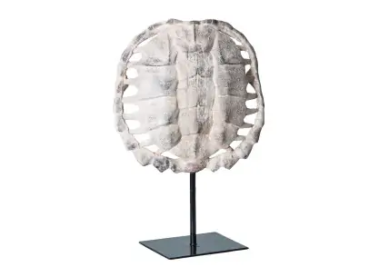 ESCULTURA CAPARAZÓN TORTUGA | Tienda