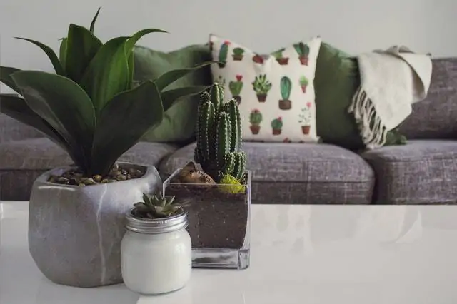 cómo decorar una mesa de centro con plantas